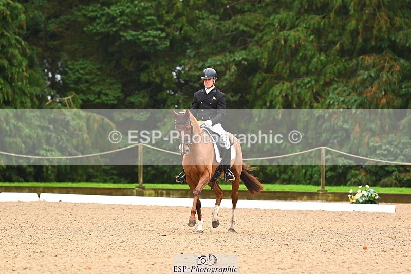 231021-104016-14494 - 231-ROUGE.ANGEL-Fred.Scala-DR