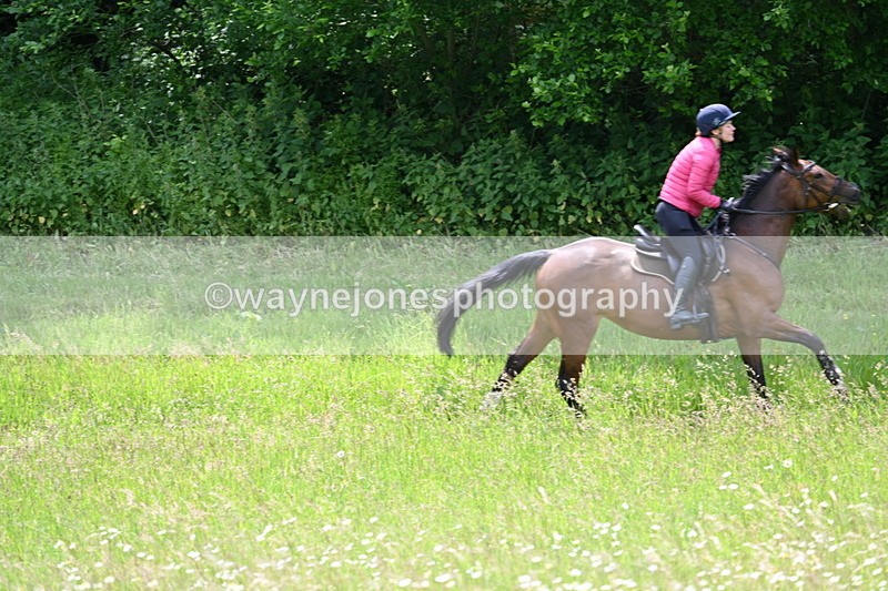 WJ7_8814 - Group 4 11am