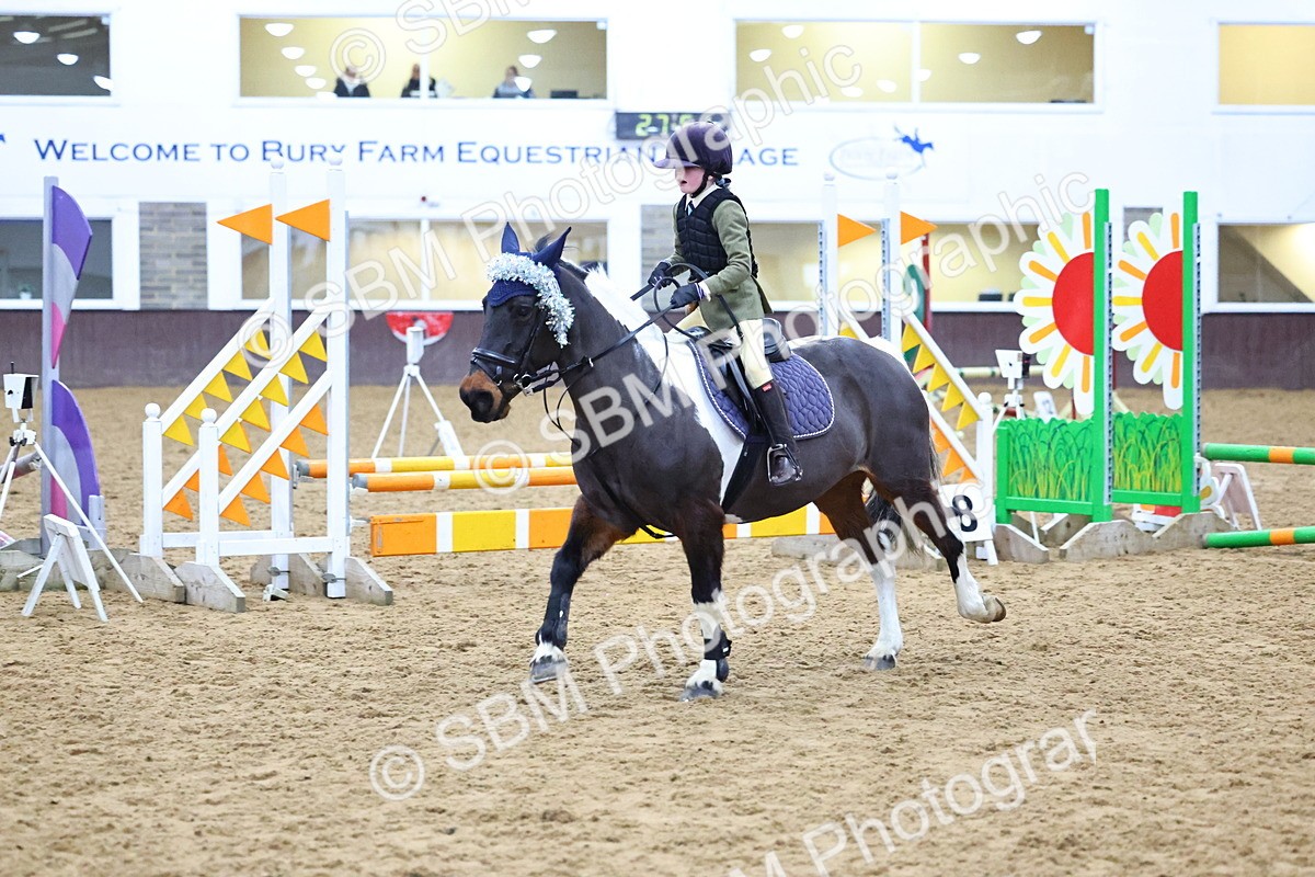 SBM_001469 - Class 3 - Christmas Tree Stakes - 60cm