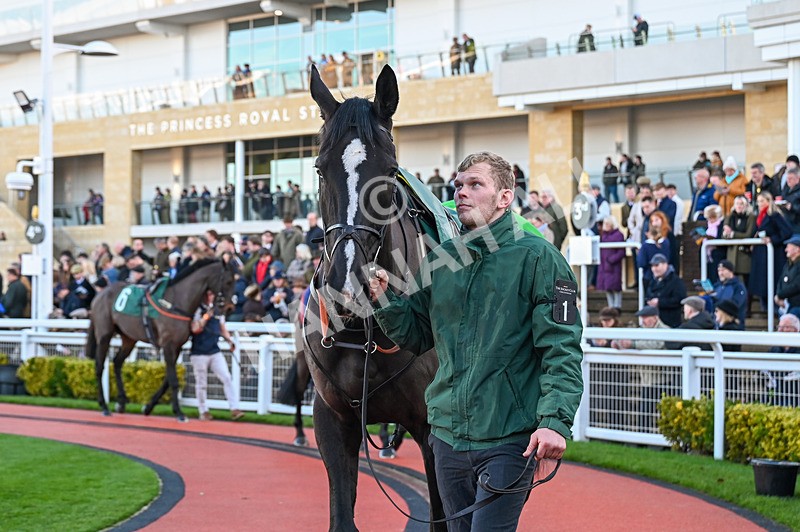 141224-Race 2-Hillcrest-0404 - Race 2