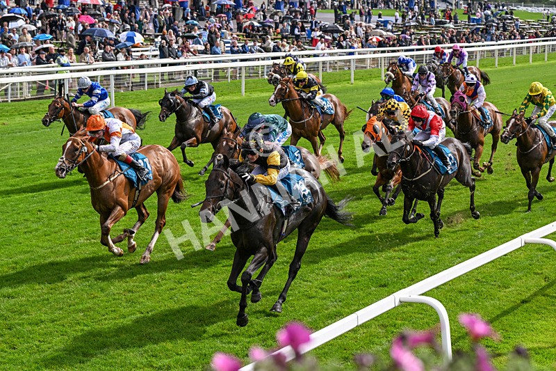060926-Race 2-Oriental Prince-0118 - Race 2 2.05pm Fine Details Car Valeting Sprint Handicap