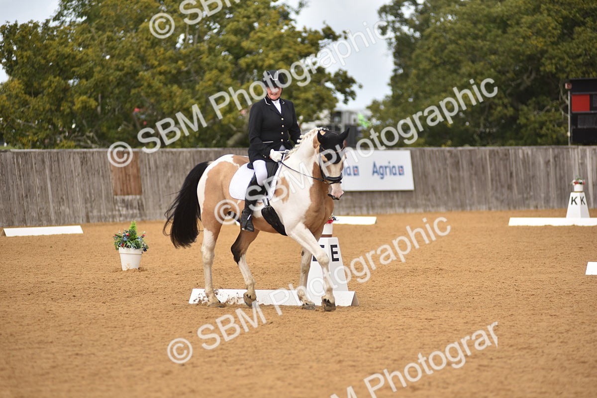 SBM_07757 - D15 - Small Tour Championship Novice 1
