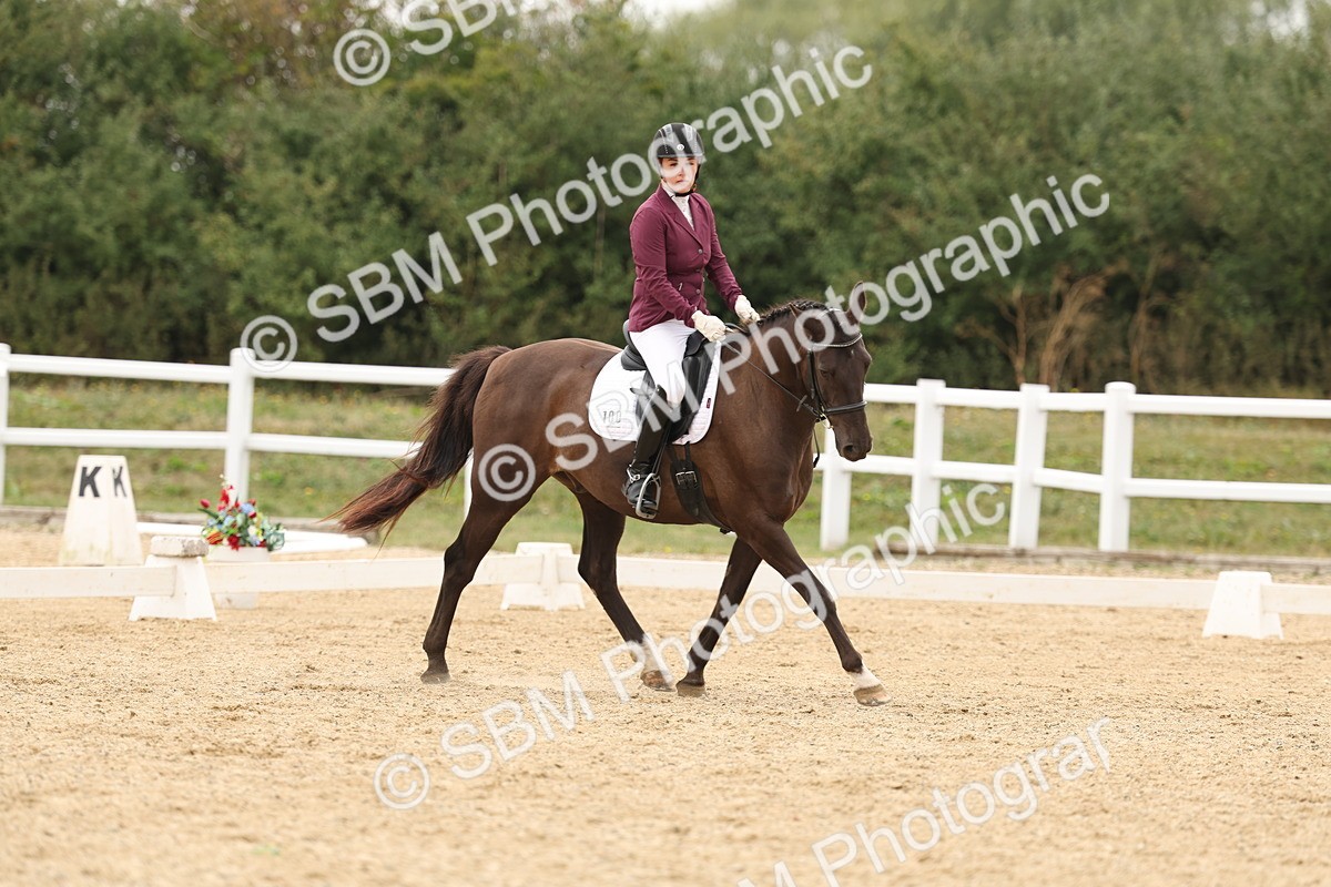 SBM_01116 - Class 8 - Novice 27 Champs