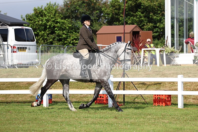 3E7A8802 - Class 3: Rising Star S/L Hunter