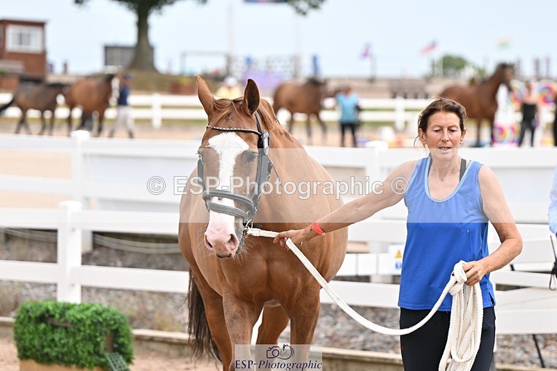 250716-150638-01631 - Trot Up 2.30 to 3.30