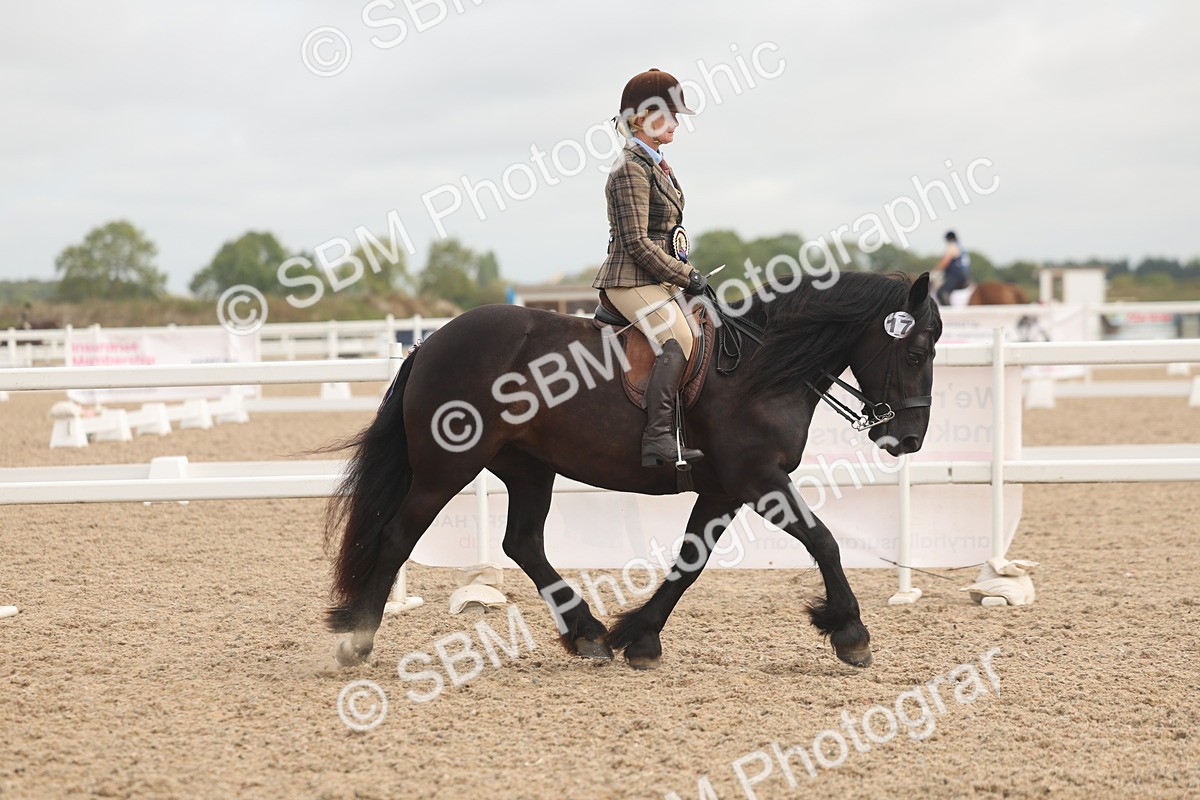 SBM_02045 - Class 14 - Ridden M&M Wildcard