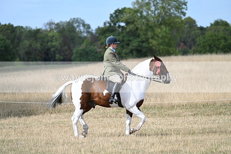 WJ7_7594 - Ridden Championship