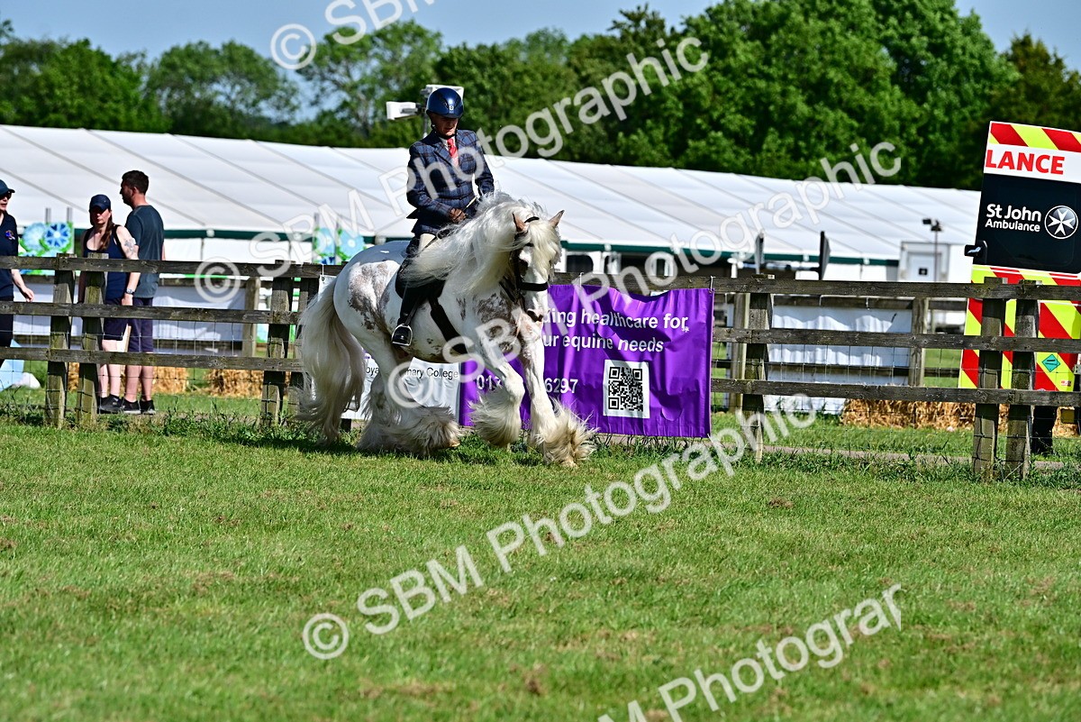 SBM_09386 - Class 63-65 - Traditional Gypsy Cobs In Hand & Ridden