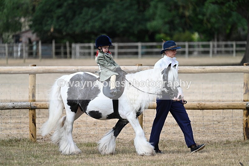 WJ7_6339 - Class 1 Lead Rein Pony