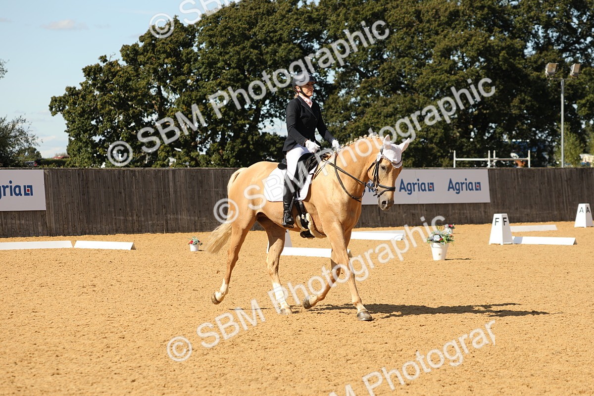 SBM_22335 - D17 - Grand Tour Championship - Novice 27