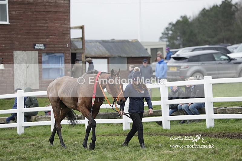 PtP 260323 0655 - New Forest Hounds Point-to-Point Larkhill 26/03/23