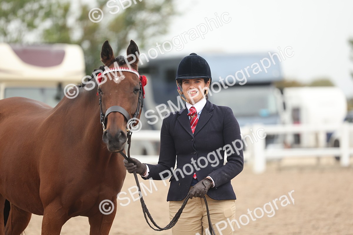 SBM_19874 - Class 318 - IH Part Bred Horse-Pony