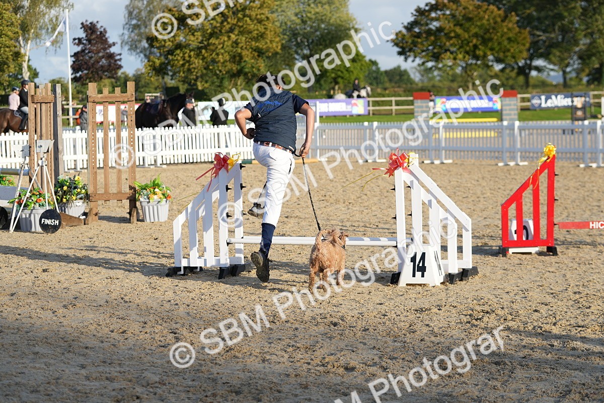 SBM_29450 - J44 - Horse & Hound Open 70cm