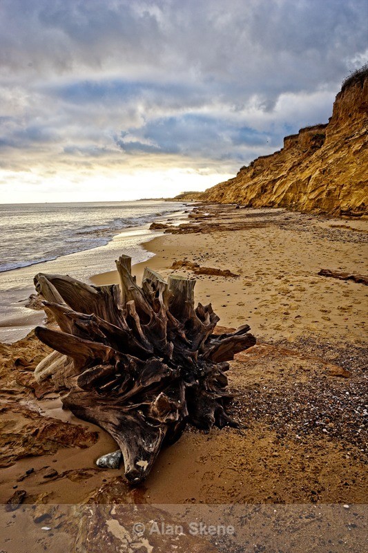 DSC09273 - Suffolk