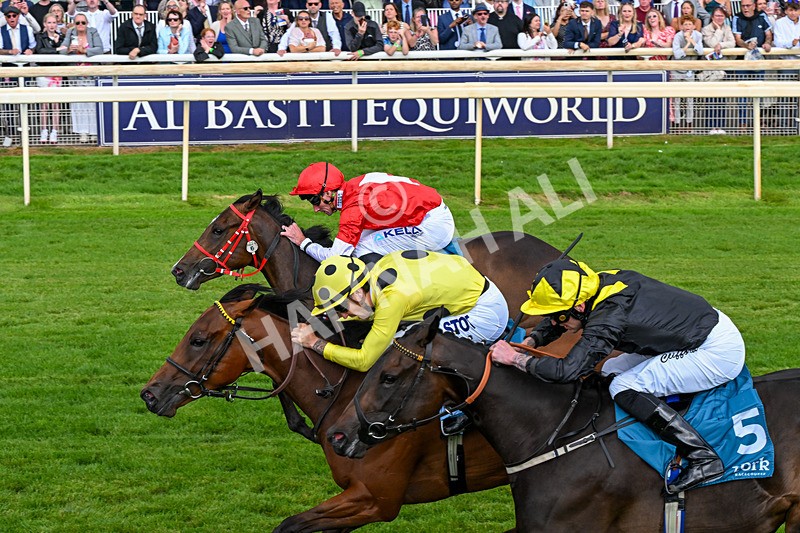 250726-Race 5-Rogue Jewel-1099 - Race 5 15.42pm Sky Bet Price Boosts EBF Fillies' Novice Stakes