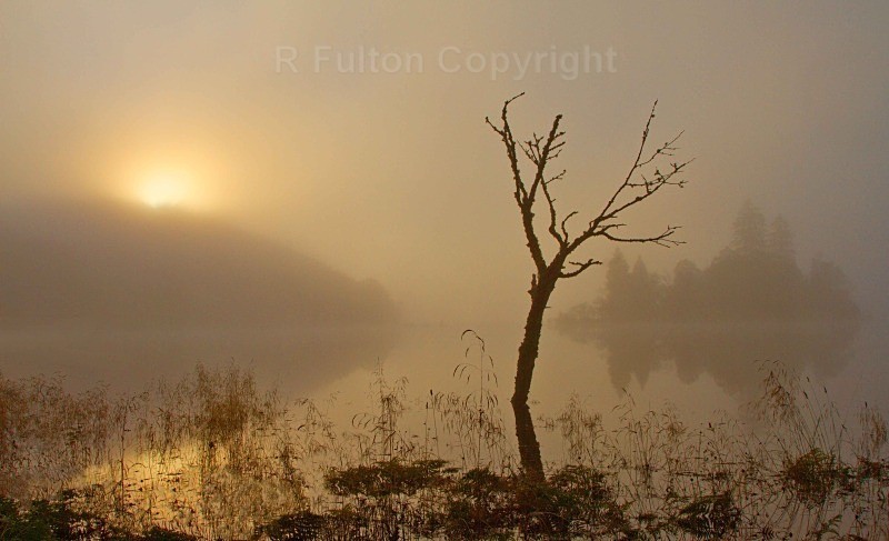 Misty Sunrise - Landscapes