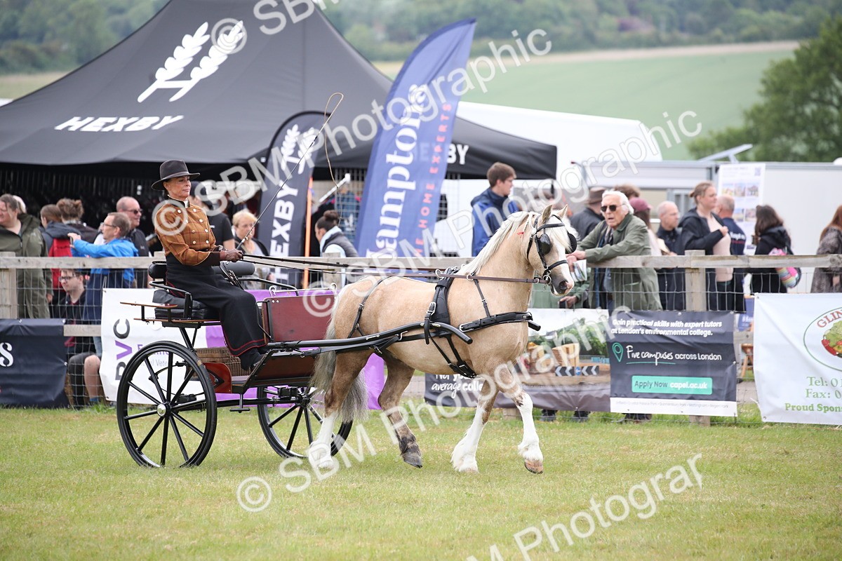 SBM_05611 - Class 12-15 - HOYS Private Driving