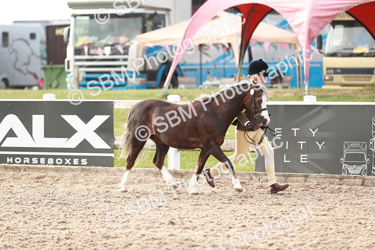 SBM_10507 - Class 204 Young Handler, 11-16 years