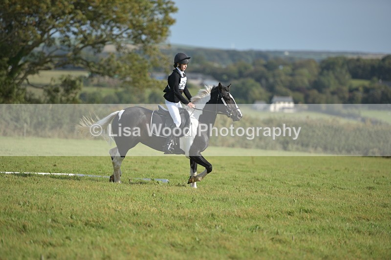 RAY_7612 - Class 2B: Trekenning Open: Dressage