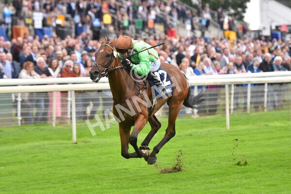 yr24092021r3-30 - Race 3 2.40pm WilliamHill.com Best Odds Guaranteed Stakes