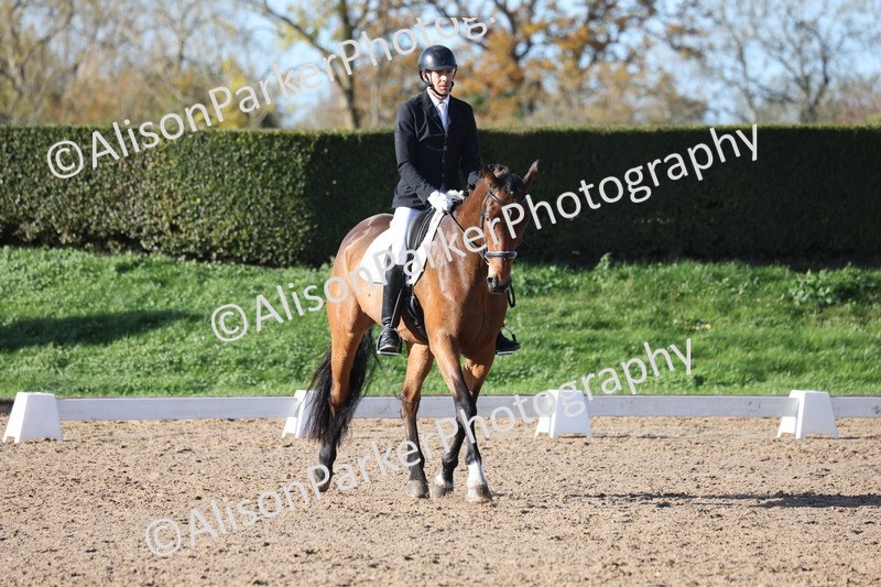 20251102-0642 - Class 4 - Novice 6