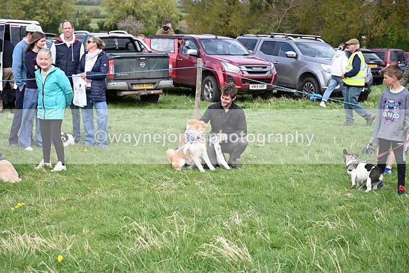 WJ6_8606 - Class 6 Best Rescue