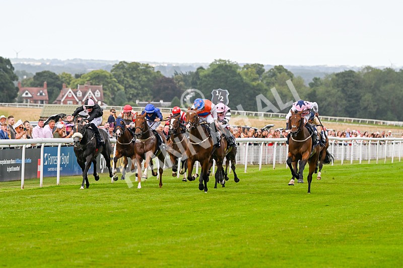 140824-Race 7-Willolarupi-7108 - Race 7