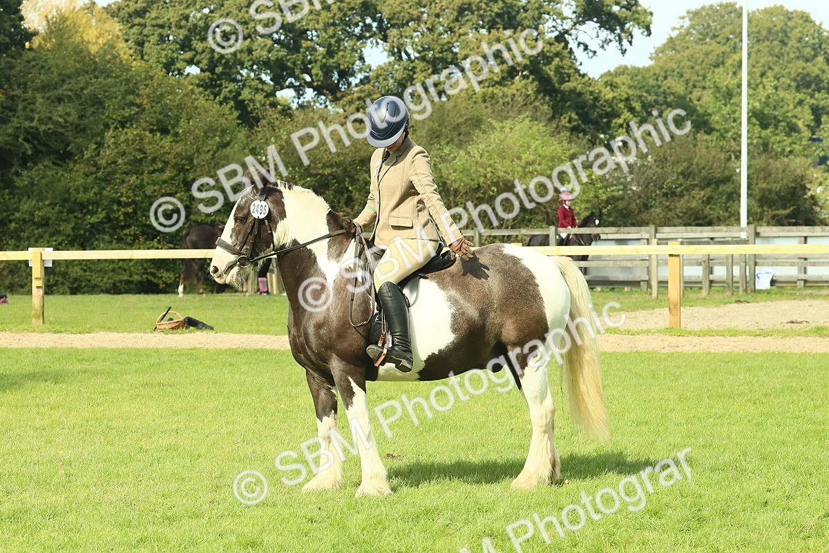 SBM_67526 - S56 - Coloured Pony Ridden