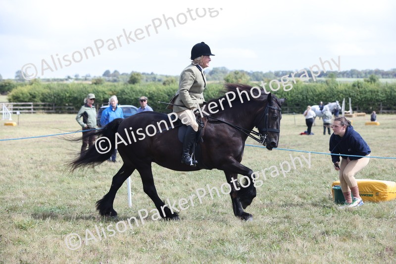 20250831-2931 - Class 19 - Mountain and Moorland