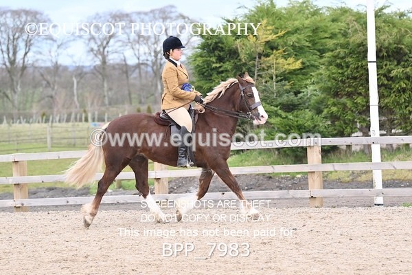 BPP_7983 - SUPREME CHAMPIONSHIP