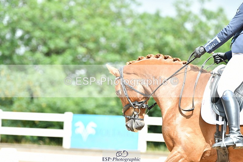 230701A-112311-04923 - Cls 9 Music Elementary