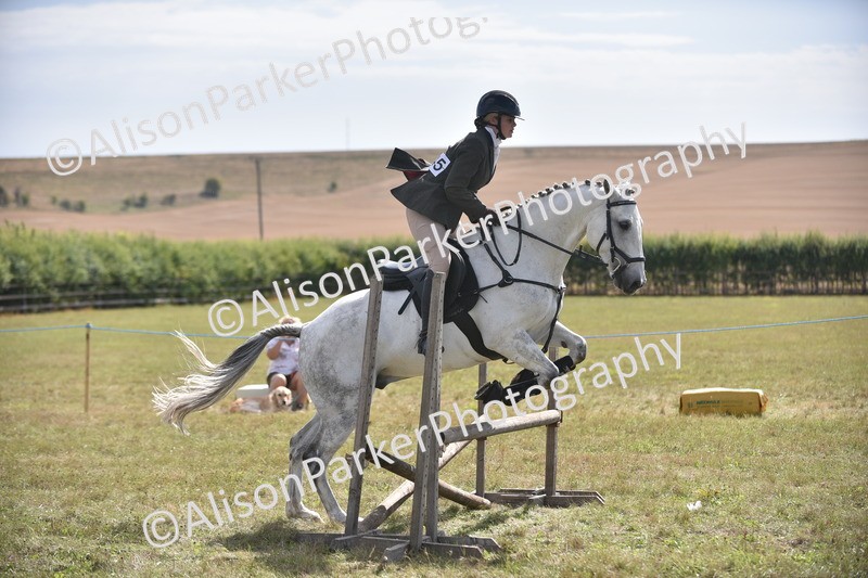 20260906-2692 - Class 13 - Working Hunter Horse or Pony
