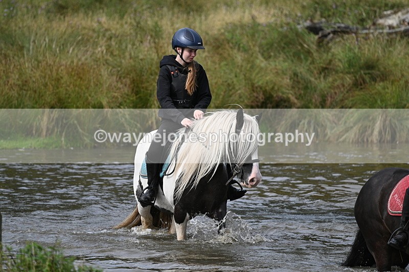 WJ7_1056 - Time at Water 10:09 to 10:47