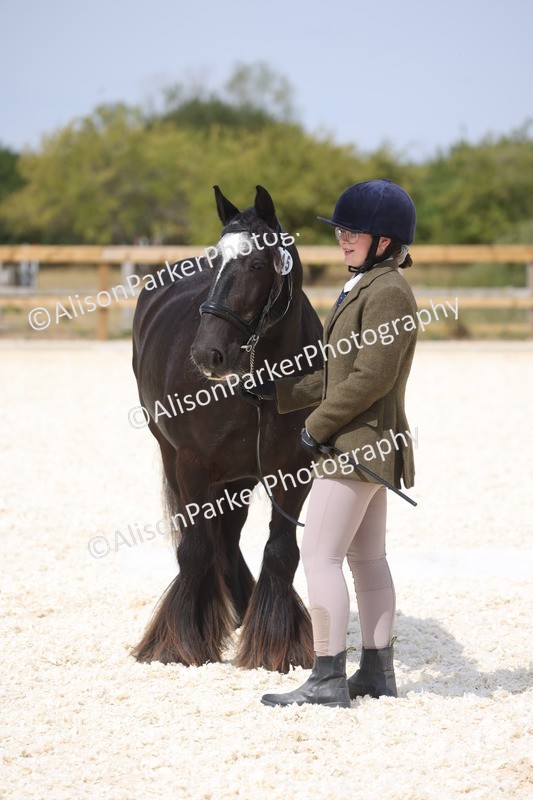 20260802-1502 - Class 16 - Best Horse or Pony