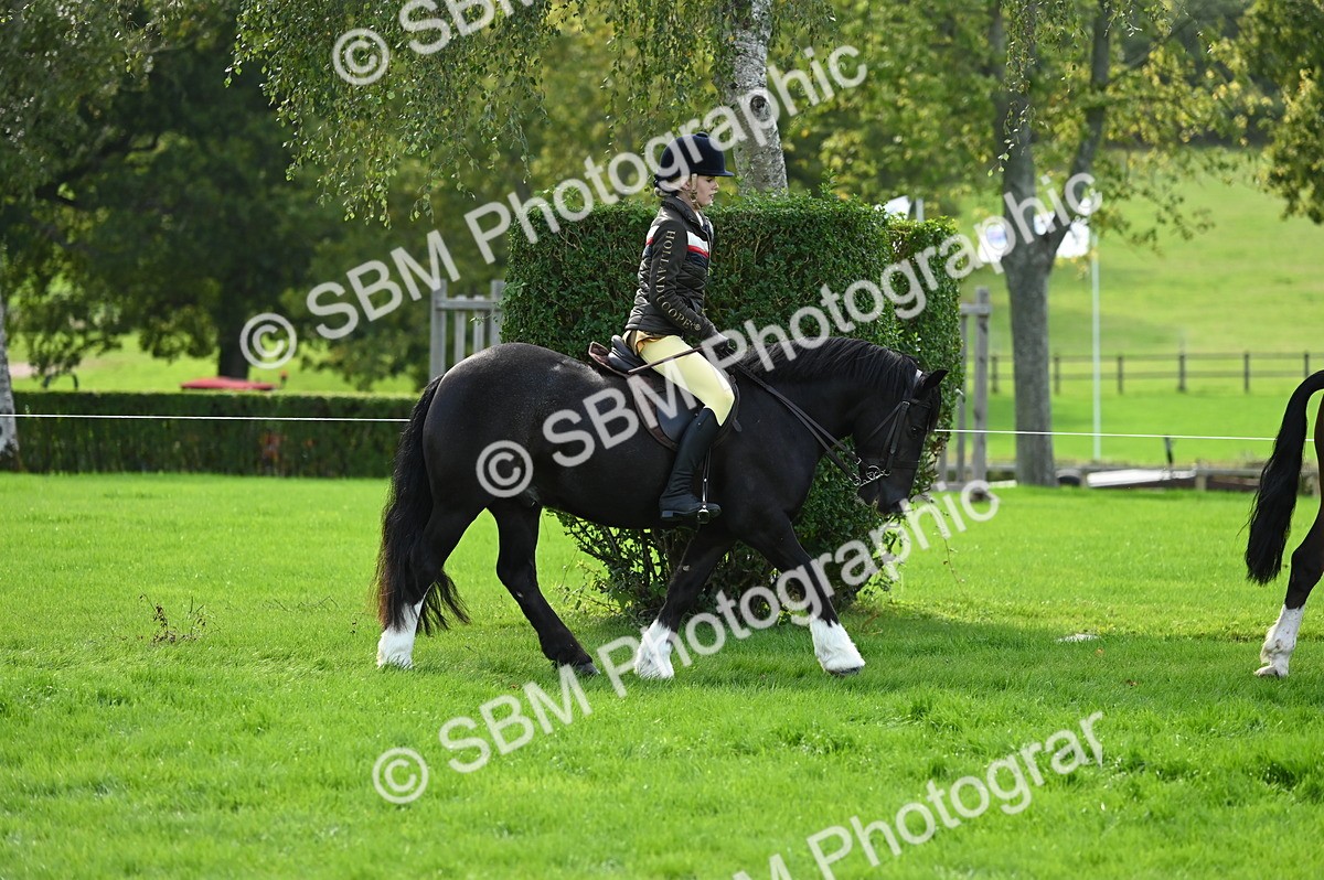 SBM_02604 - S3 - TSR Ridden Pony Showing