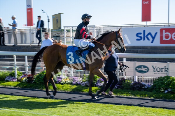 yr12062021r7-10 - Race 7 5.25pm Sky Bet Stakes