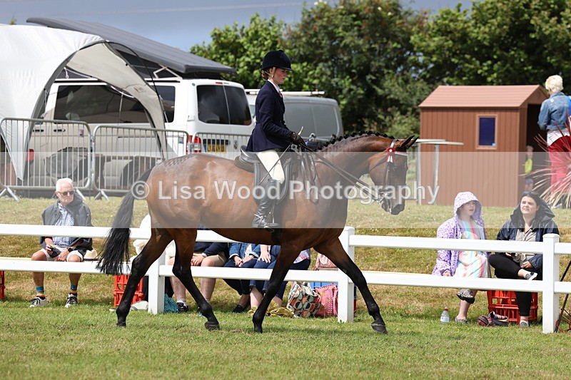 3E7A0853 - Class 8: Open Riding Horse/Hack