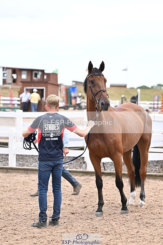 250716-135948-00847 - Trot Up 1.30 to 2.30