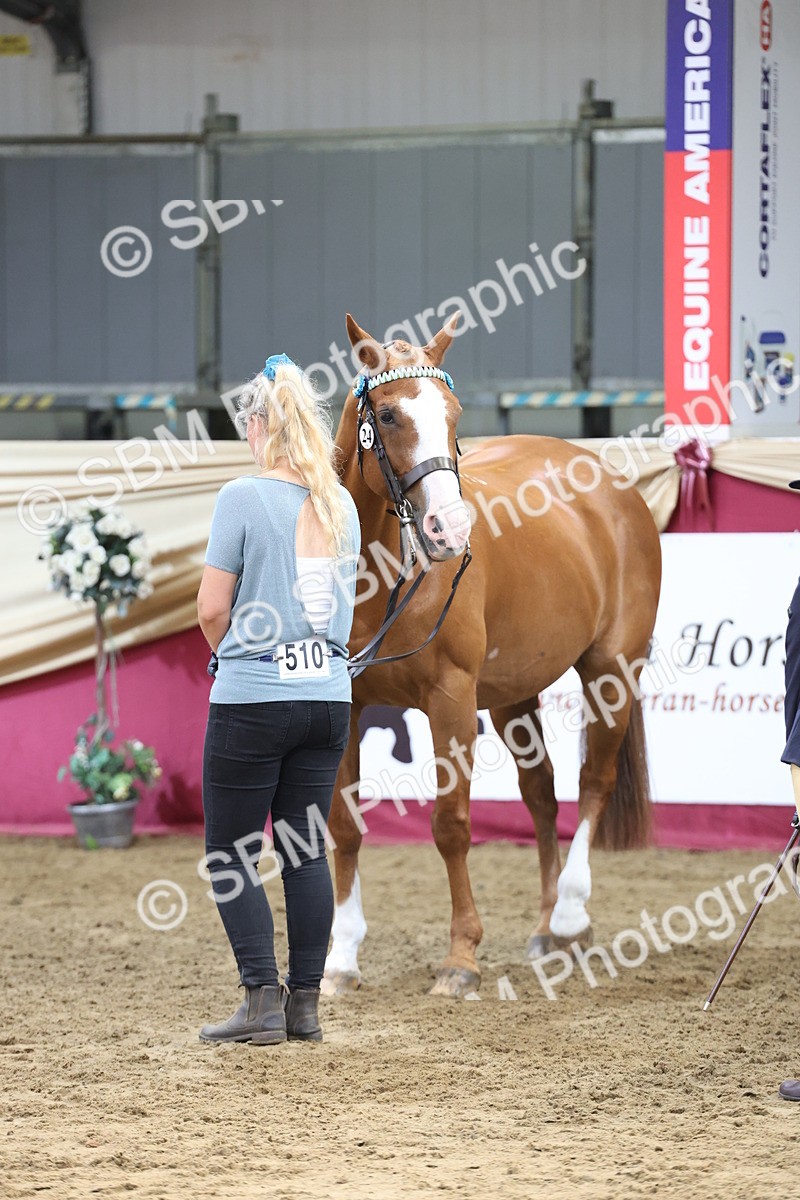 SBM_22557 - Class 902 - Supreme Final - IH Diamond