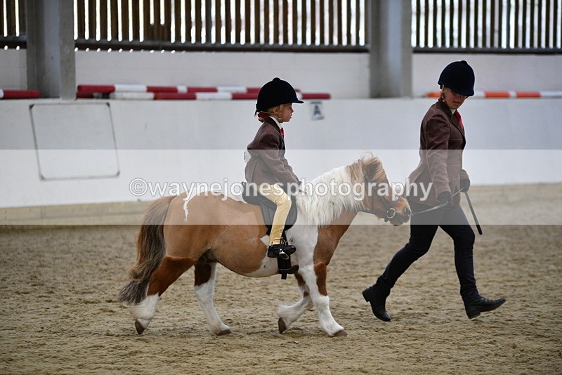 WJ5_6782 - Class 10 Childs Pony