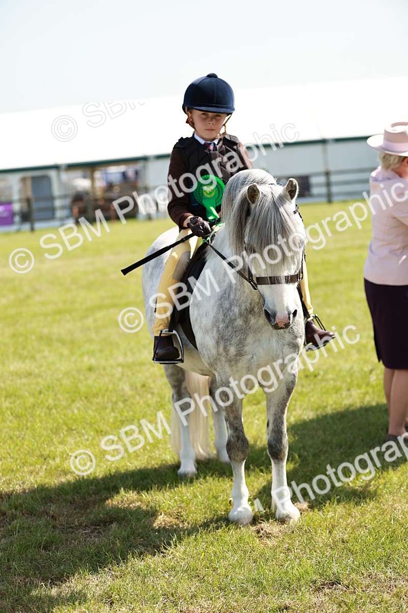 SBM_12803 - Class 106-107 - BSPS LIHS Working Sports Pony