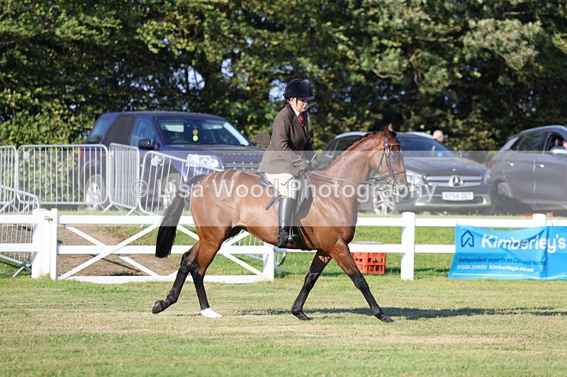 3E7A4970 - Class 1: Rising Star Small Hack/Riding Horses