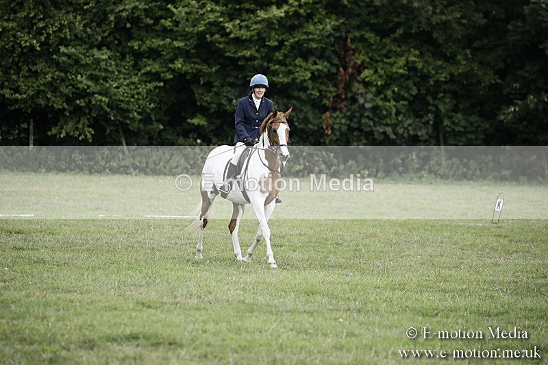 BVR090918 1 - BVRC Dressage and Show Jumping 09/09/18