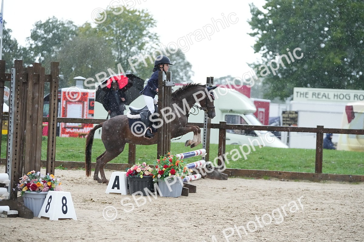 SBM_36237 - J5 - Junior Pony 50cm Championship