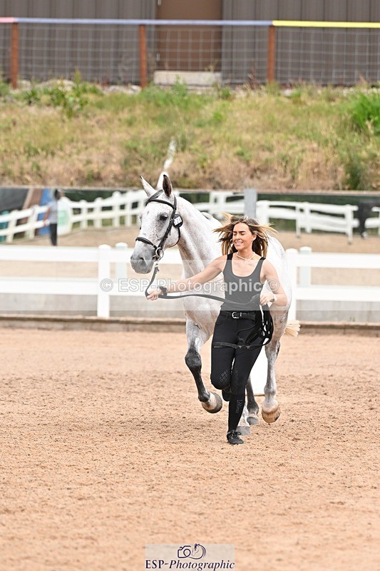 250716-144552-01369 - Trot Up 2.30 to 3.30