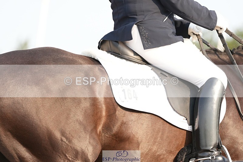 250817-084612-07324 - 164-Carole.MalyonDiamonds.Are.Forever