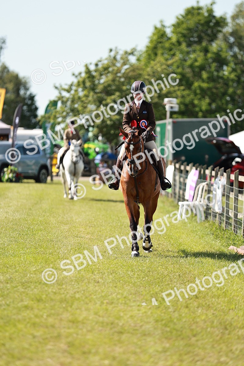 SBM_18560 - Class 112-113 - BSPS LIHS Working Sports Pony