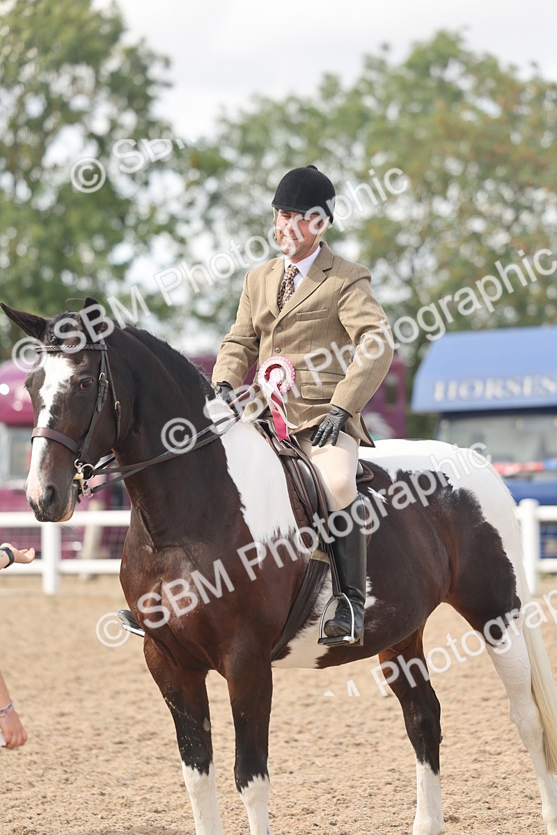 SBM_14858 - Class 308 - Ridden Coloured Horse