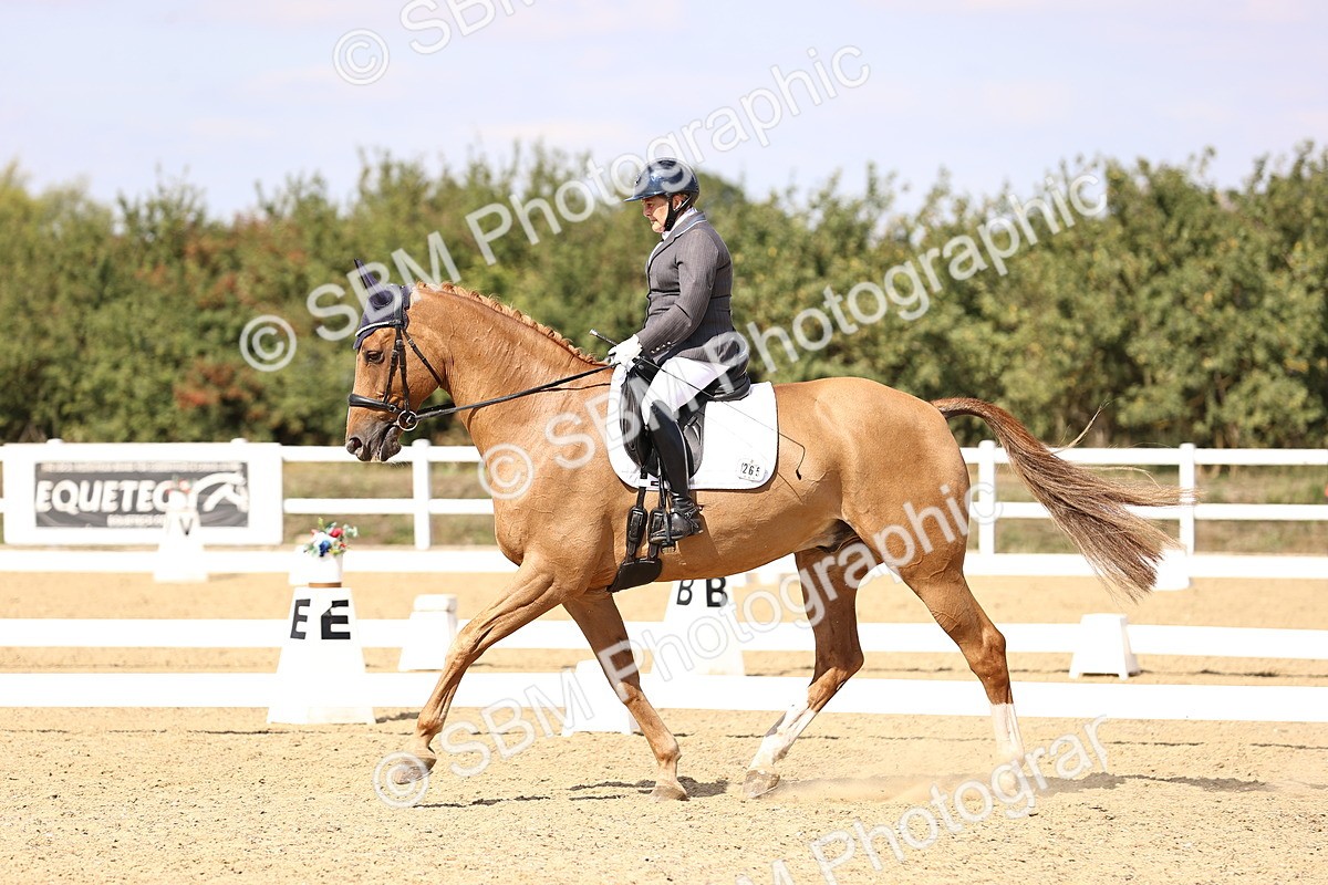 SBM_015078 - Class 6 - Elementary 5