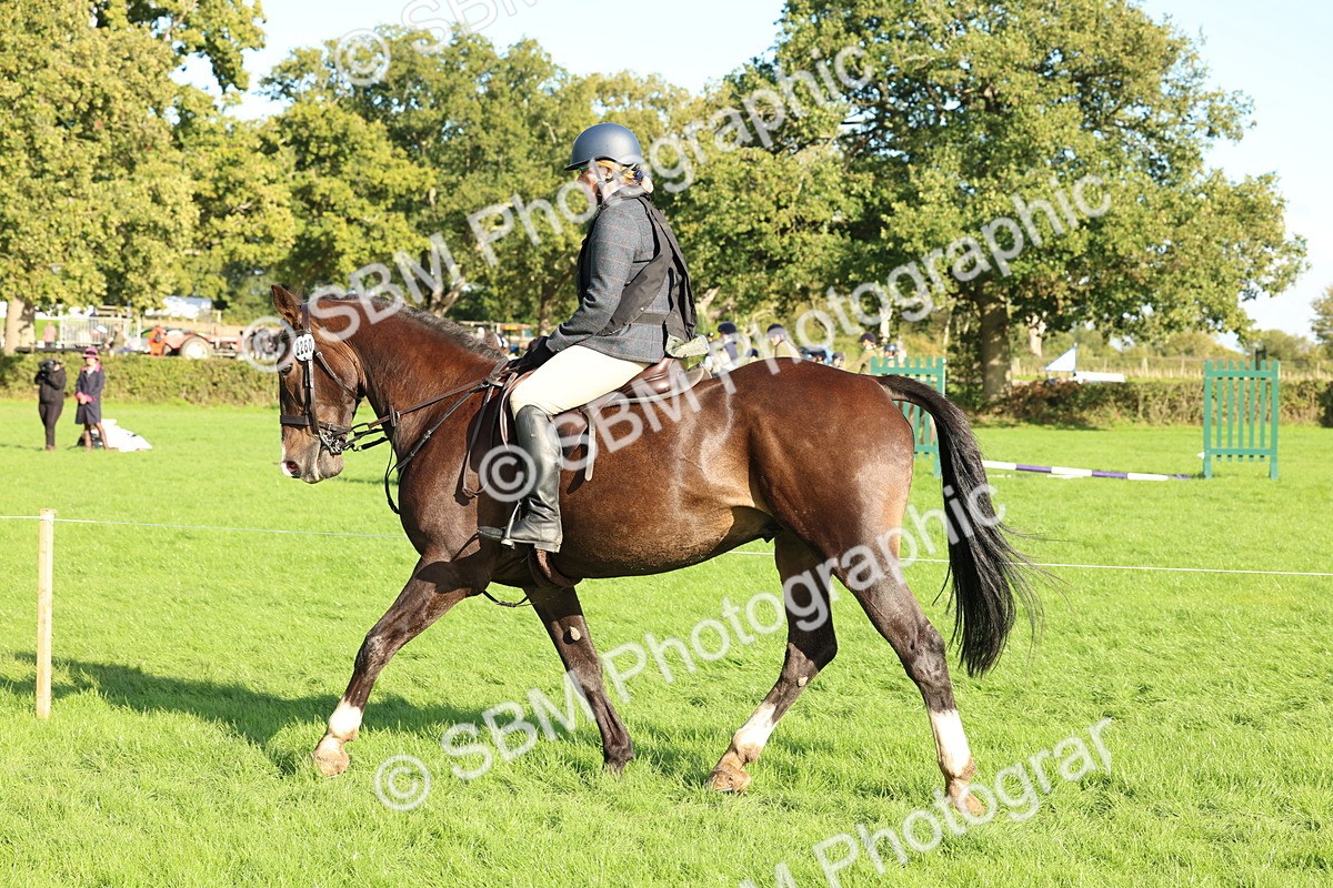 SBM_50153 - S34 - Novice & Newcomers Working Hunter